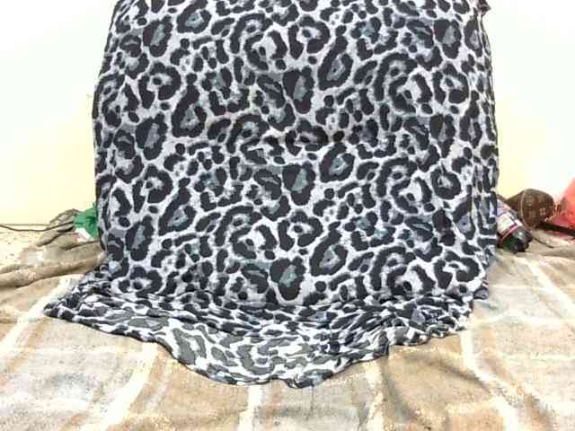 SPRINGCHICKEN96 webcam