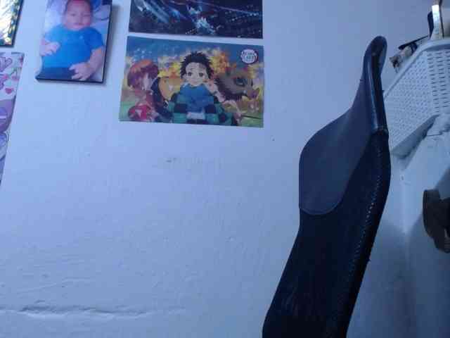 DIANA-ROGU webcam