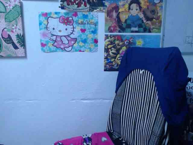 DIANA-ROGU webcam