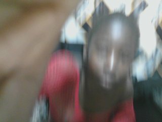 Petitelv