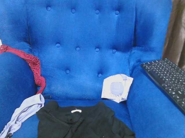 Petitelv live cam on BongaCams