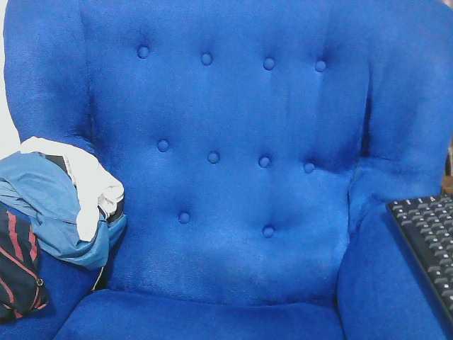 Petitelv live cam on BongaCams