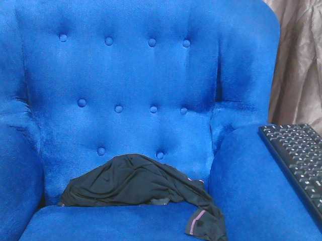 Petitelv live cam on BongaCams