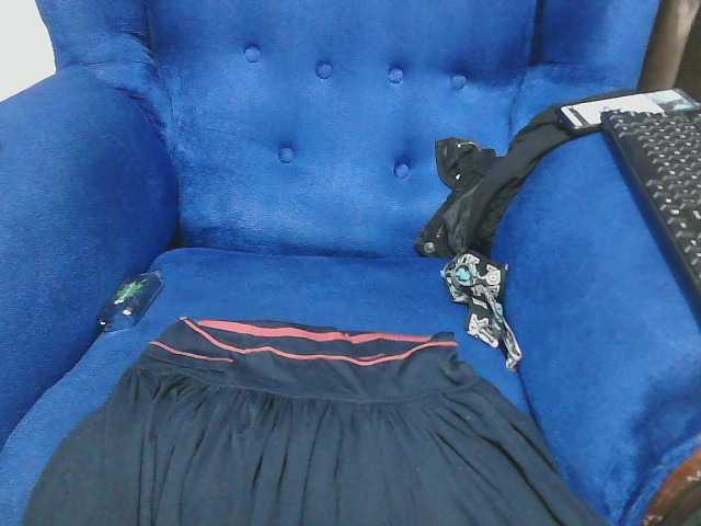 Petitelv live cam on BongaCams