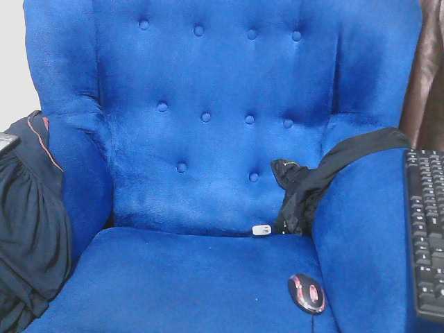 Petitelv live cam on BongaCams