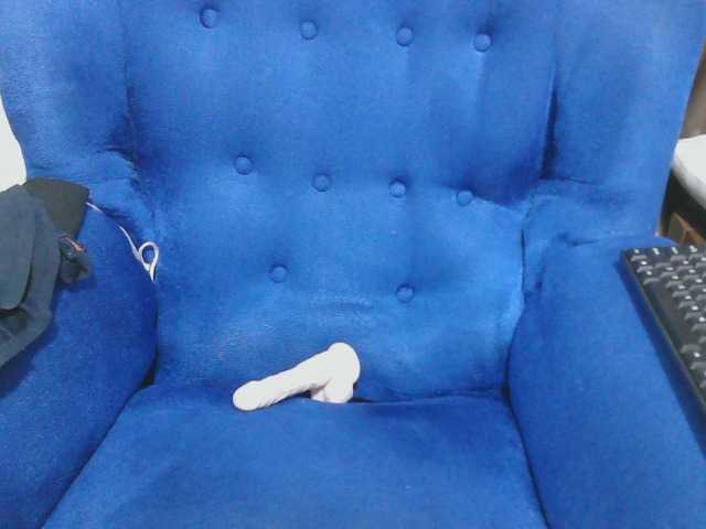 Petitelv