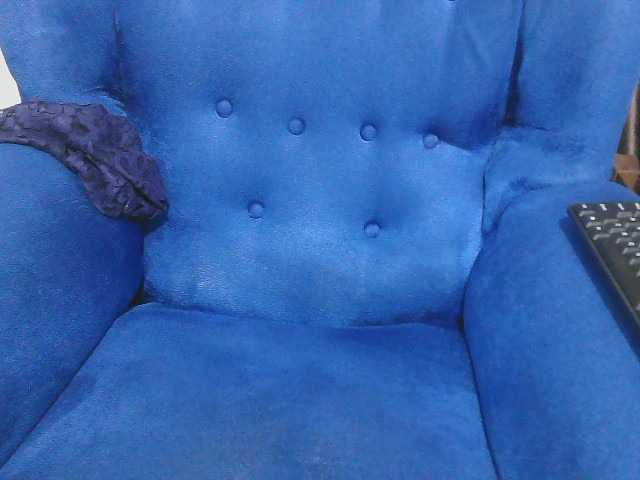 Petitelv live cam on BongaCams