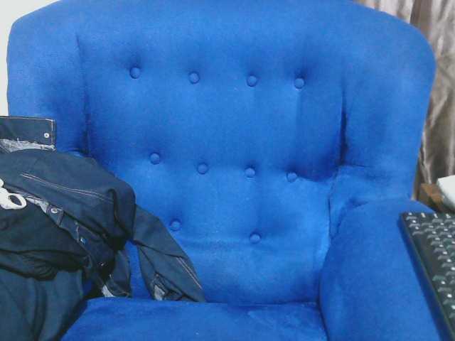 Petitelv live cam on BongaCams