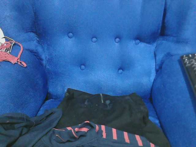 Petitelv