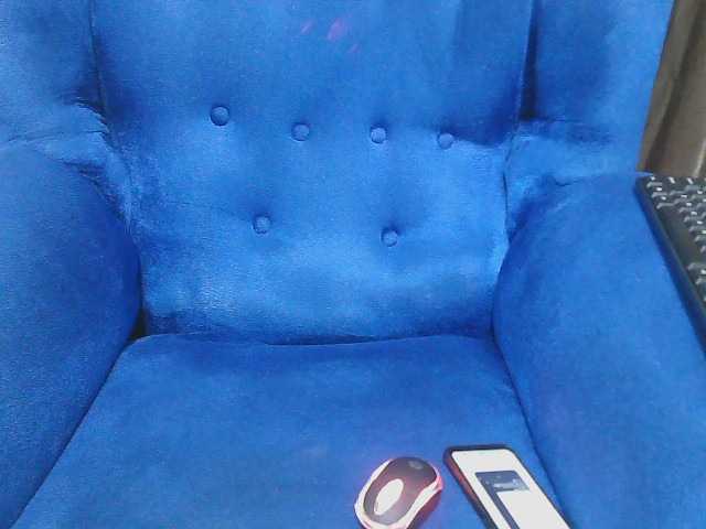 Petitelv live cam on BongaCams