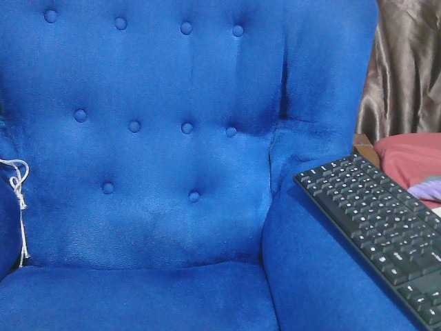 Petitelv live cam on BongaCams