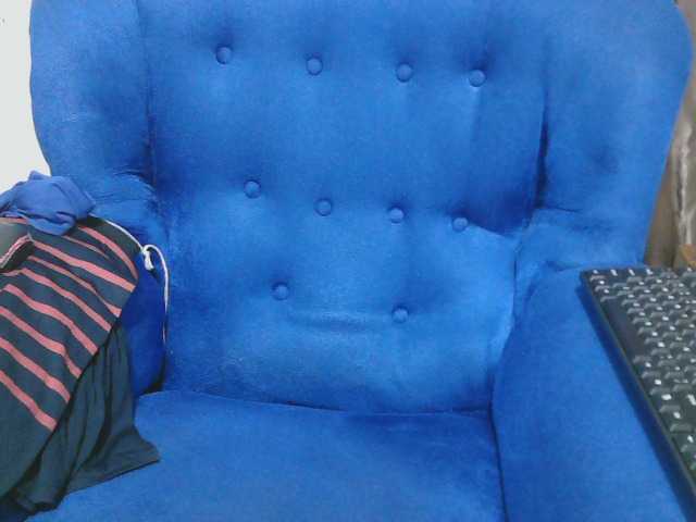 Petitelv live cam on BongaCams