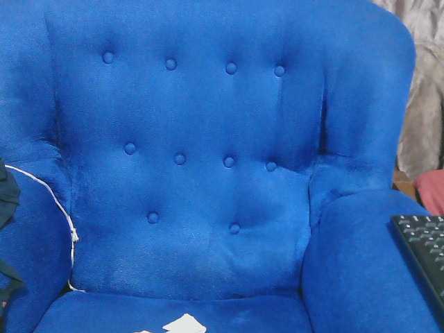 Petitelv live cam on BongaCams
