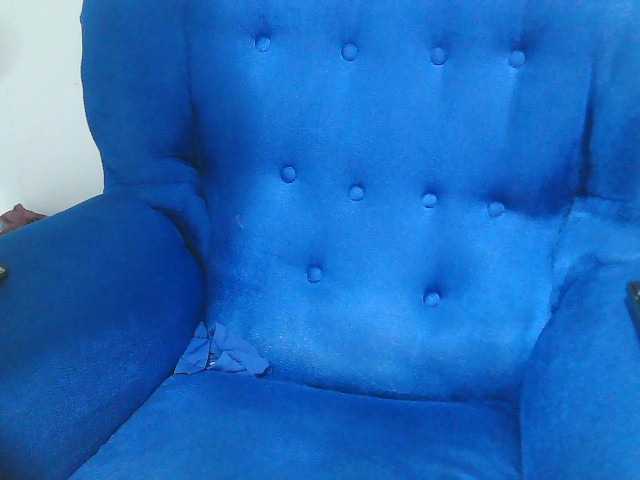 Petitelv live cam on BongaCams