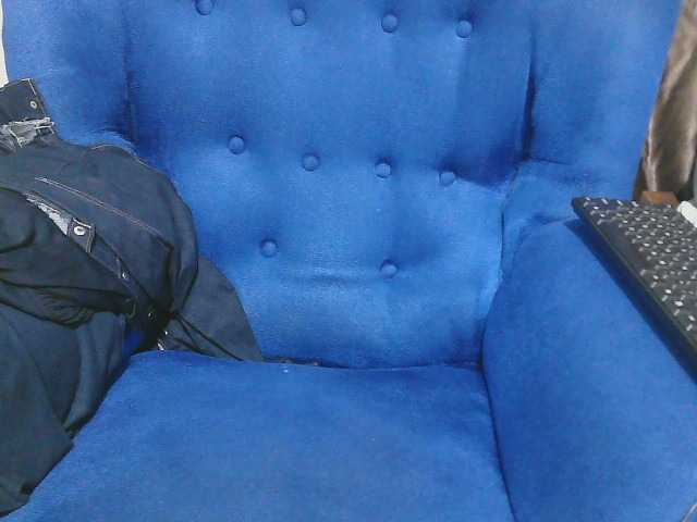 Petitelv live cam on BongaCams