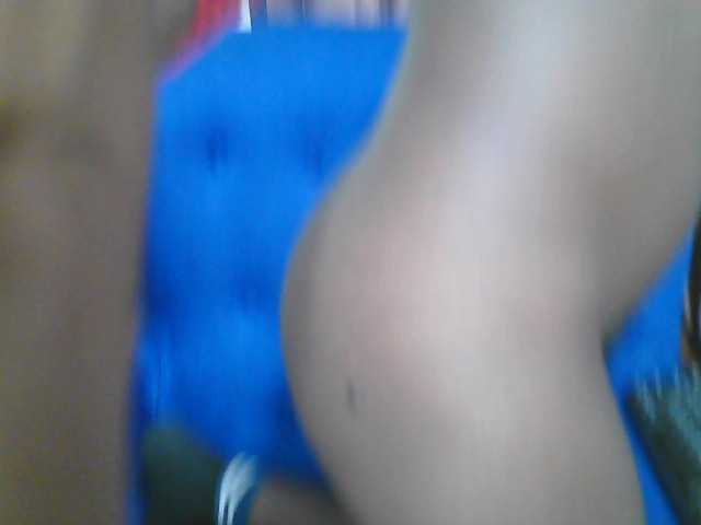 Petitelv live cam on BongaCams