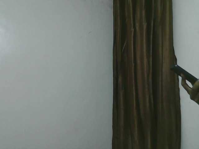 Petitelv live cam on BongaCams