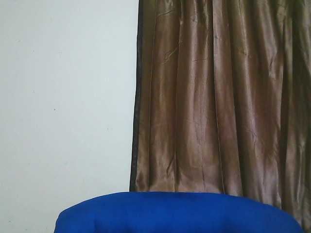 Petitelv