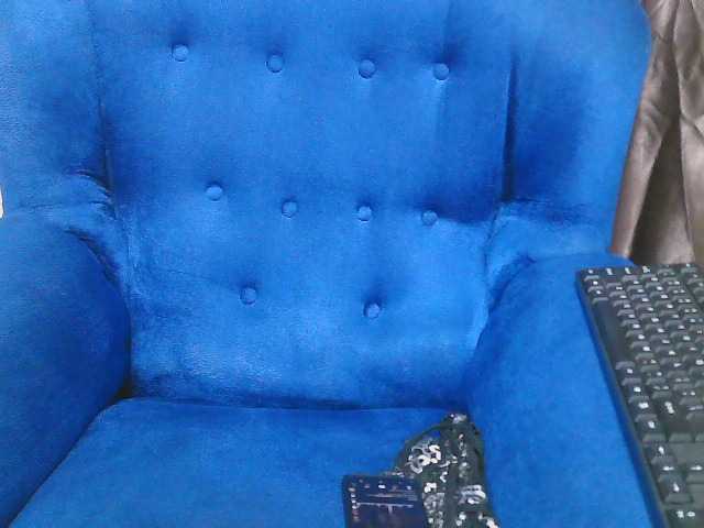 Petitelv