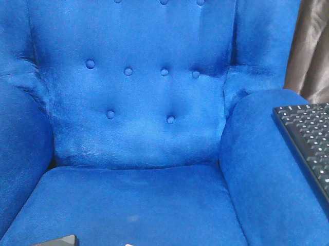 Petitelv live cam on BongaCams