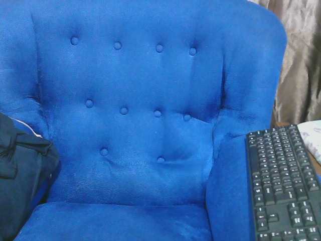 Petitelv live cam on BongaCams