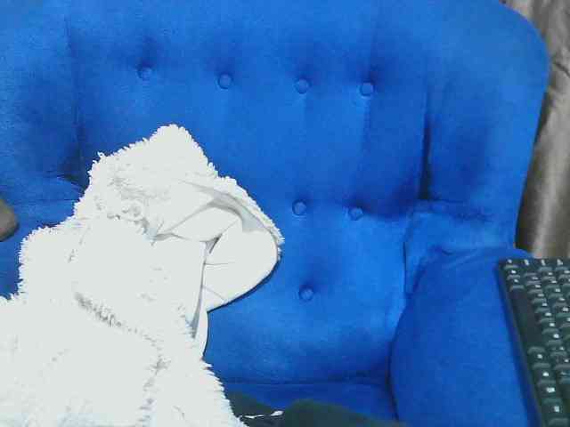 Petitelv webcam