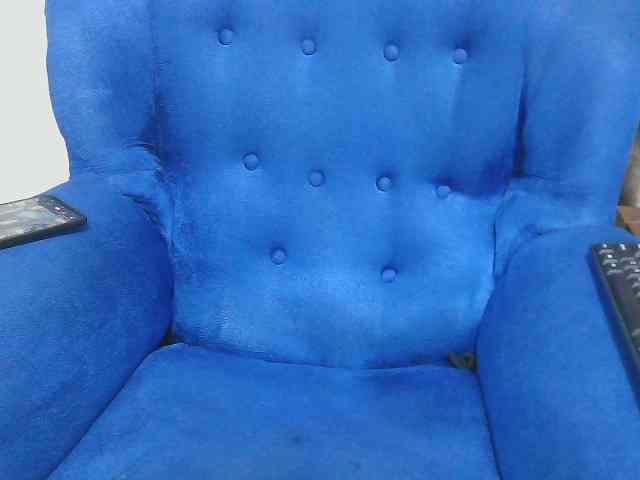 Petitelv webcam