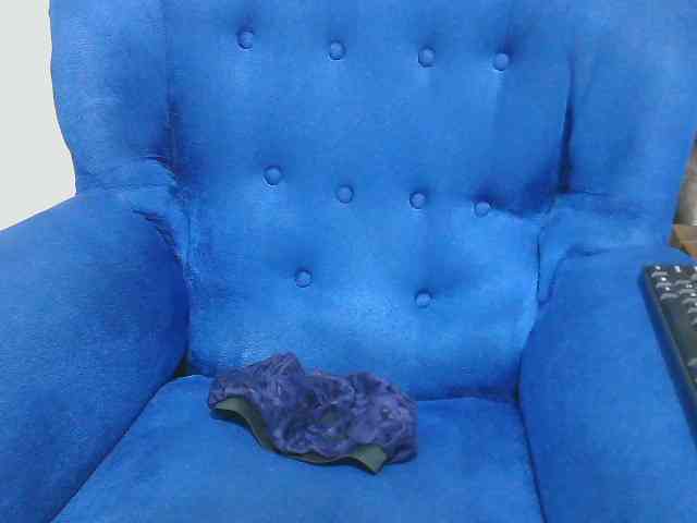 Petitelv webcam