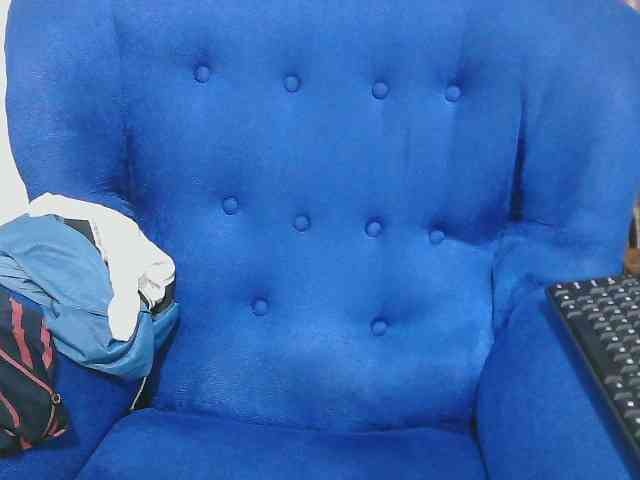 Petitelv webcam