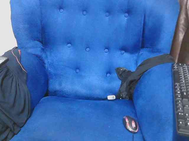 Petitelv webcam