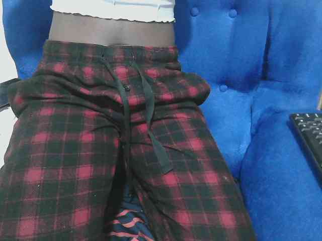 Petitelv webcam