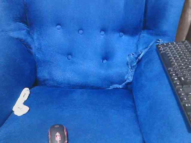 Petitelv webcam