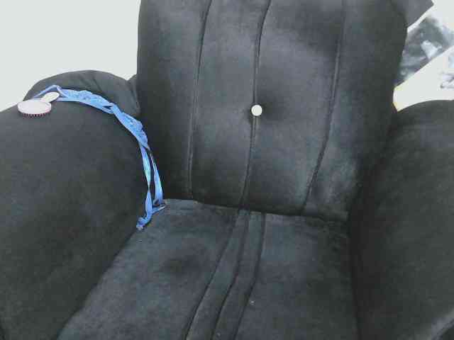 Modelo: Petitelv