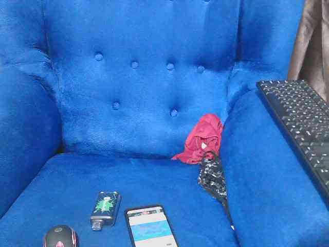 Petitelv webcam