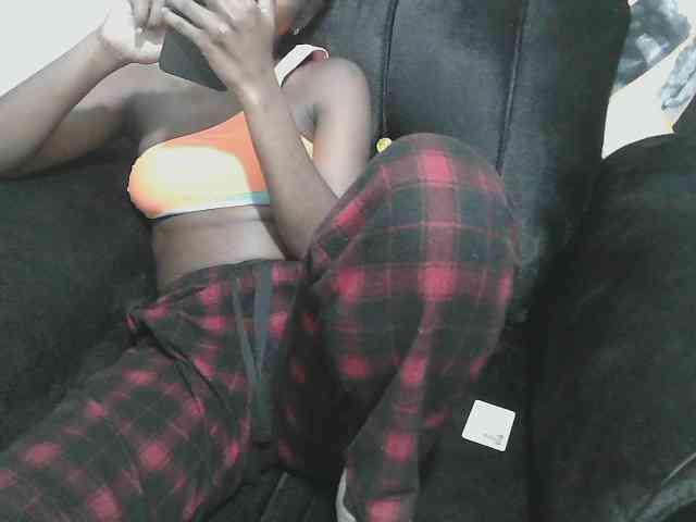 Petitelv webcam