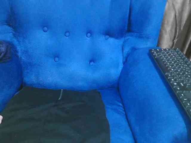 Petitelv webcam