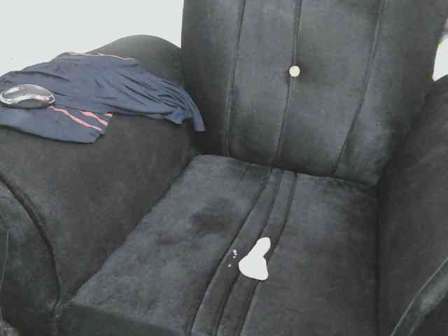 Petitelv webcam