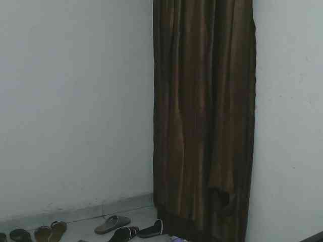 Petitelv webcam