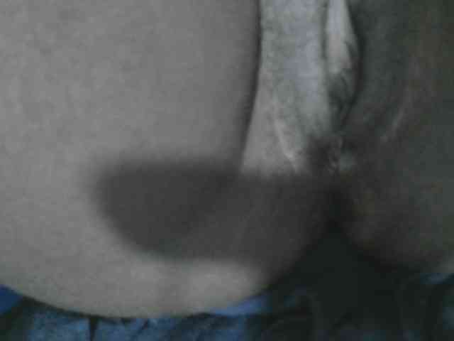 Petitelv webcam