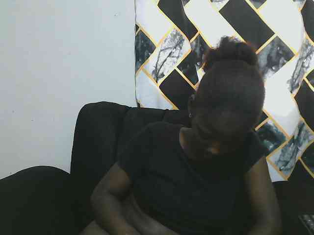 Petitelv webcam