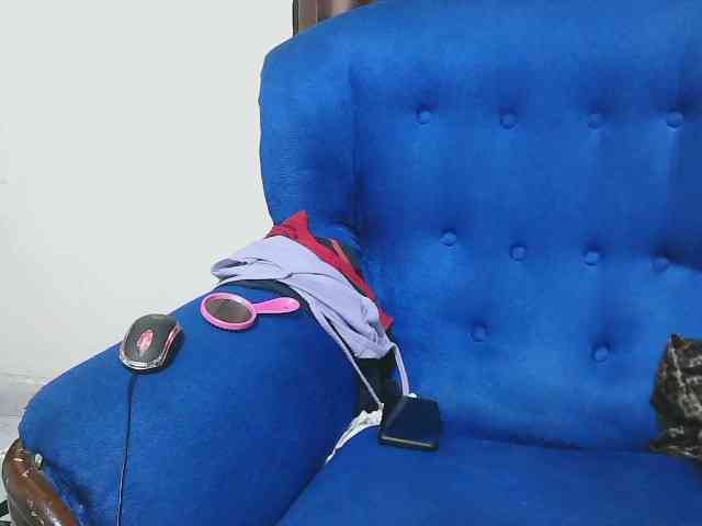 Petitelv