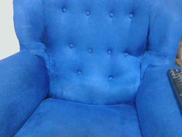 Petitelv webcam