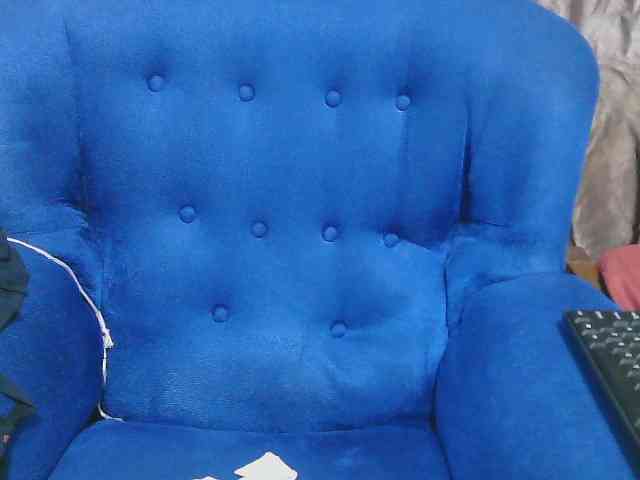 Petitelv webcam
