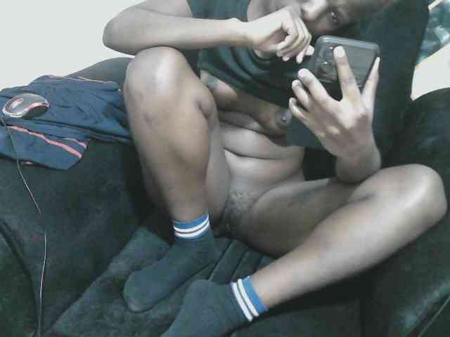 Petitelv Petitelv