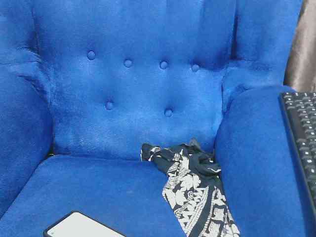 Petitelv webcam