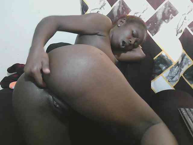 Petitelv webcam