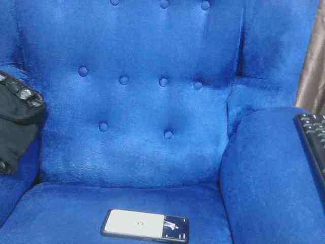 Petitelv webcam
