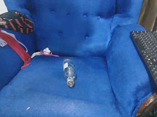 Petitelv webcam