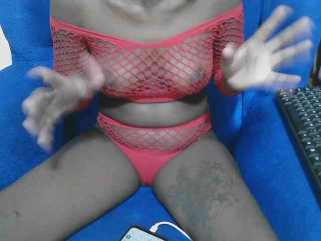 Petitelv webcam