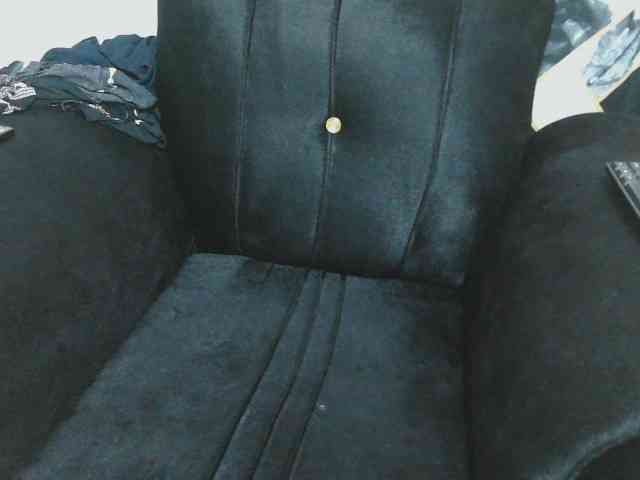 Petitelv webcam